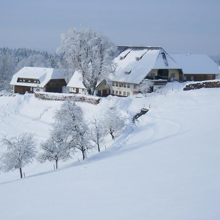 Erlenbach Brosihofアパートメント エクステリア 写真