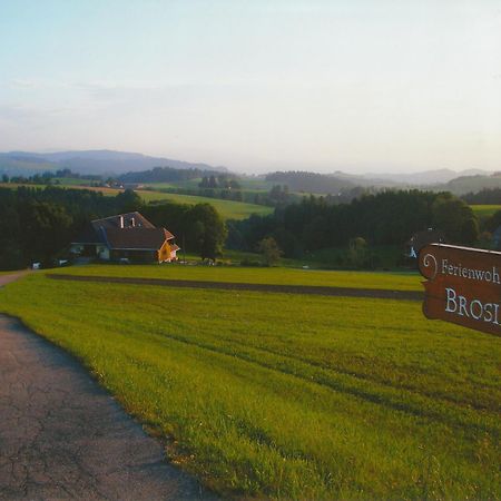 Erlenbach Brosihofアパートメント エクステリア 写真