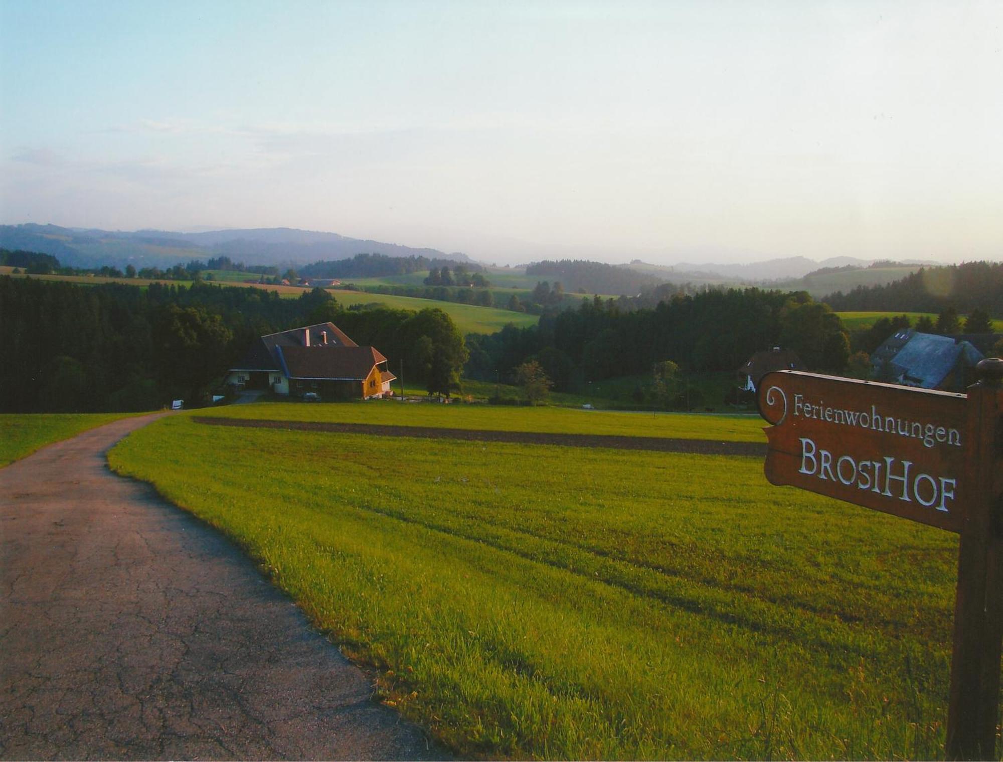 Erlenbach Brosihofアパートメント エクステリア 写真
